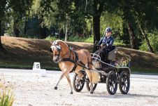 Diensten 2